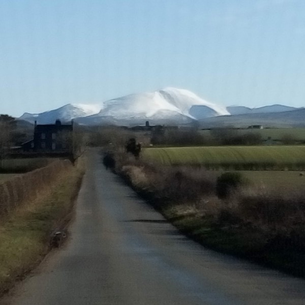 Violet Bank Holiday Home Park