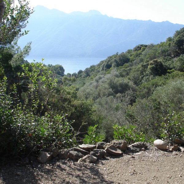 Camping E Gradelle