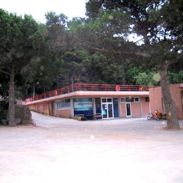 Rifort