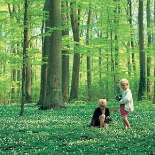 Camping Møns Klint