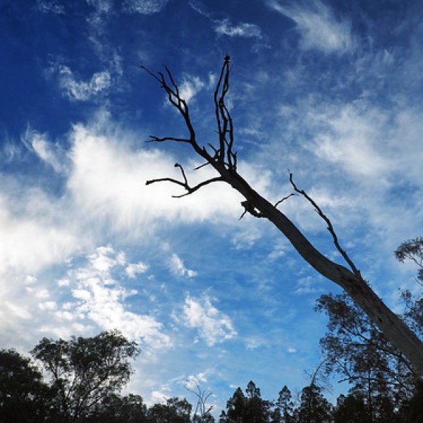 Terarra Creek Campground