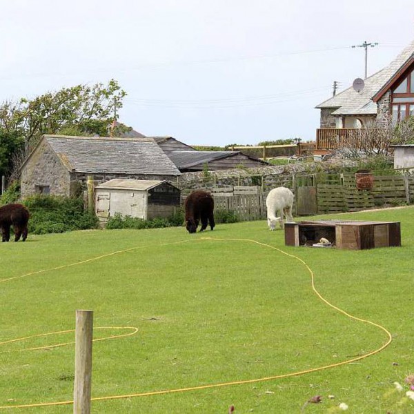 Henry's Campsite in Südwestengland, Vereinigtes Königreich Spottocamp