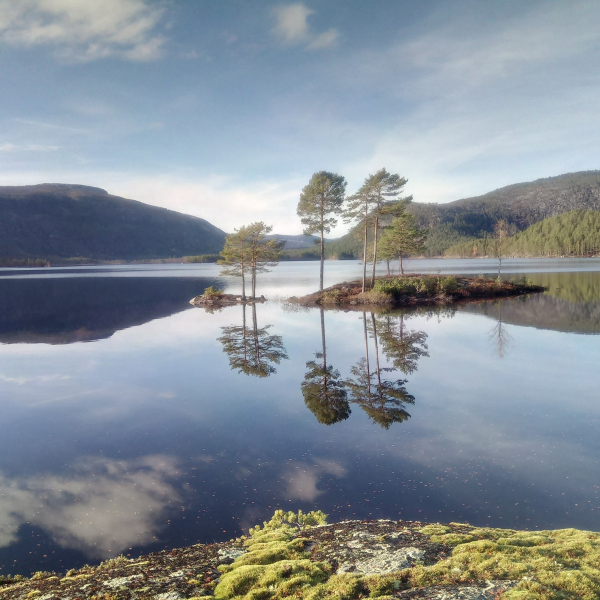 Telemark Camping