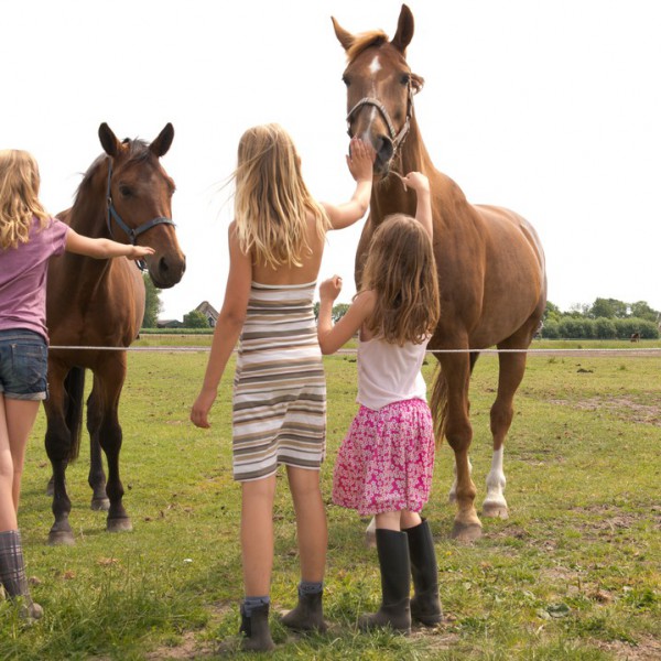 Fleur Stables