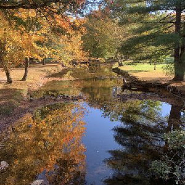 Mountain Creek Campground
