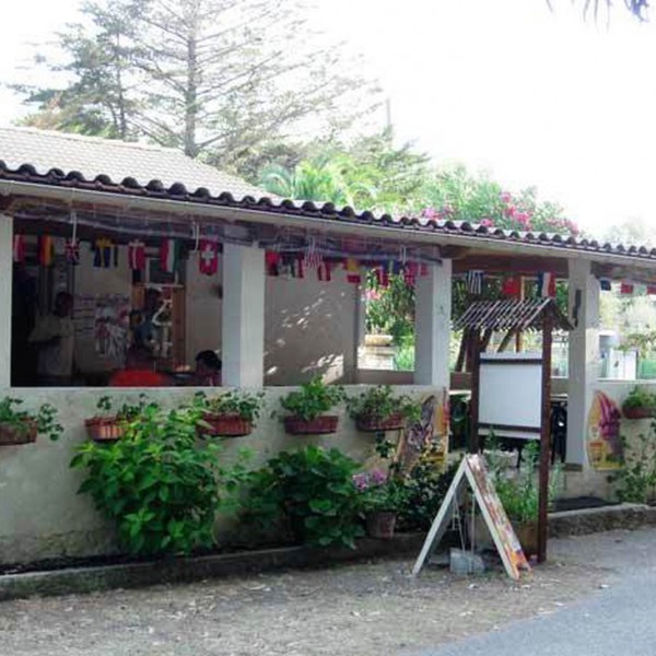 D'Olzo
