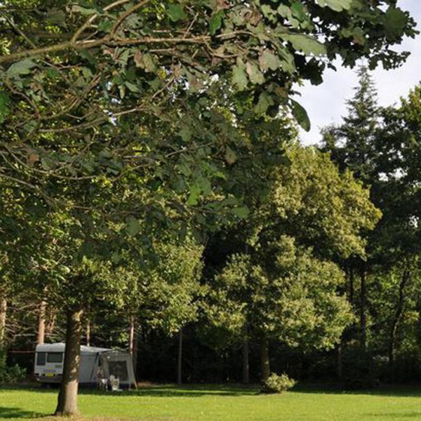 Mini-camping ’s Koonings Veld