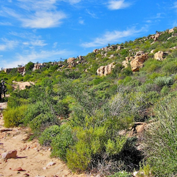 Jakkalskloof