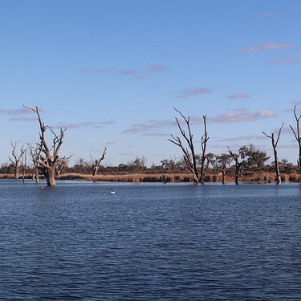 Lake Bonney Campground