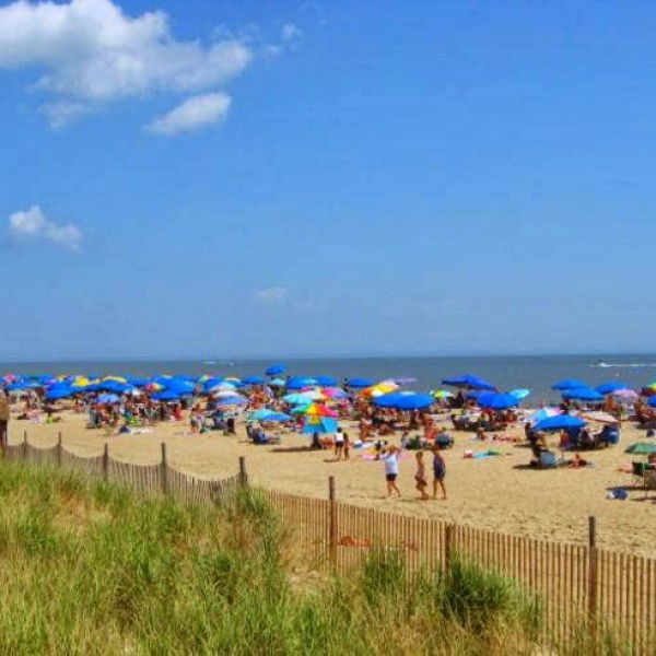 Delaware Beaches Jellystone Park - Main photo