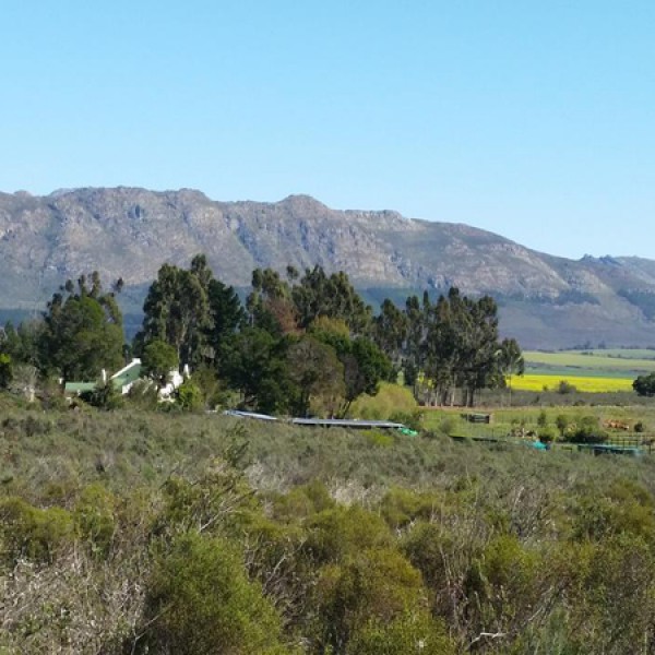 Fynbos Guest Farm