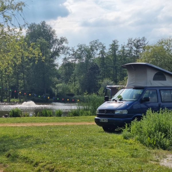 Willow Camp en Belgique Spottocamp Spottocamp