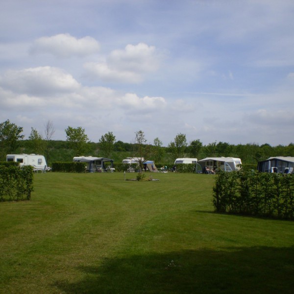Boschheide