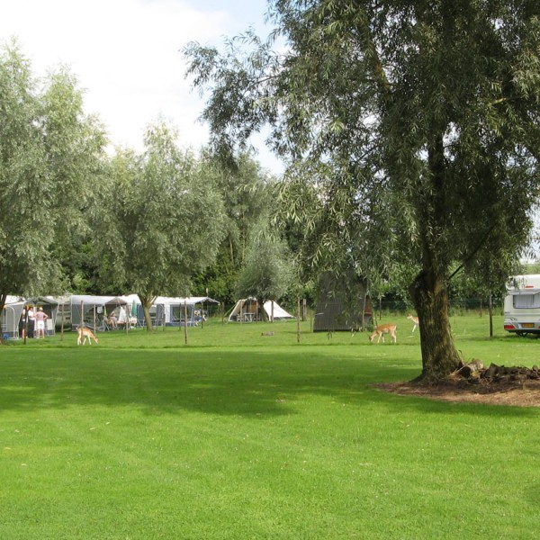 D'n Eykelenbosch