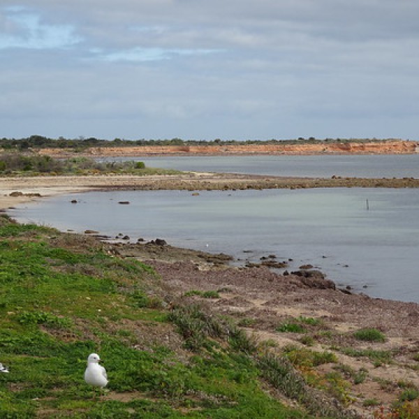 Wallaroo Overnight Camping Area Campground in Australia Spottocamp