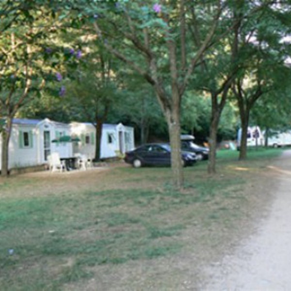 Les Acacias