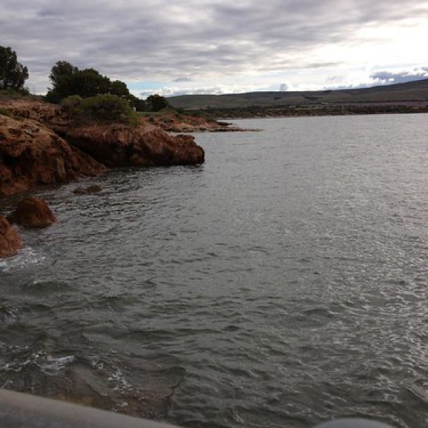 Louth Bay camping area Campground in South Australia, Australia