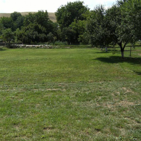 Camping Mira