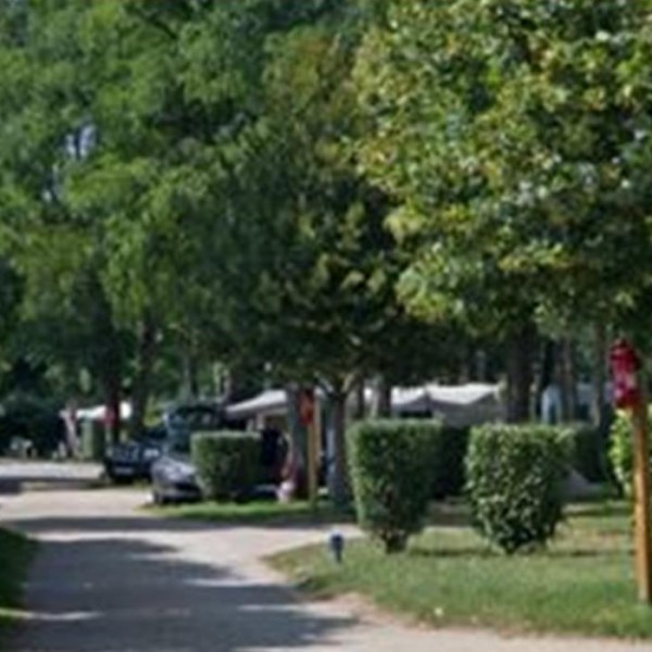 Flower Camping - Les Portes de Sancerre - Main photo
