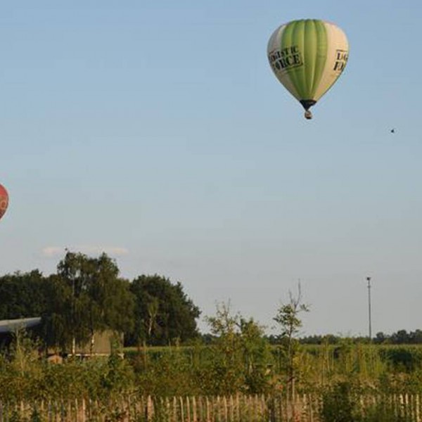 Mini-Camping Petit013