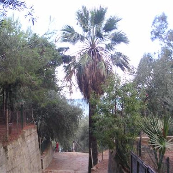 Campeggio San Filippo