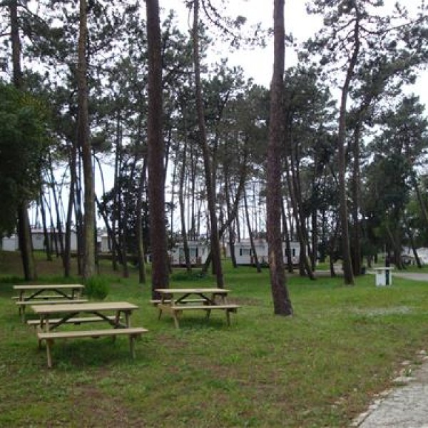 parque-de-campismo-orbitur-s-o-jacinto-in-beira-portugal-spottocamp