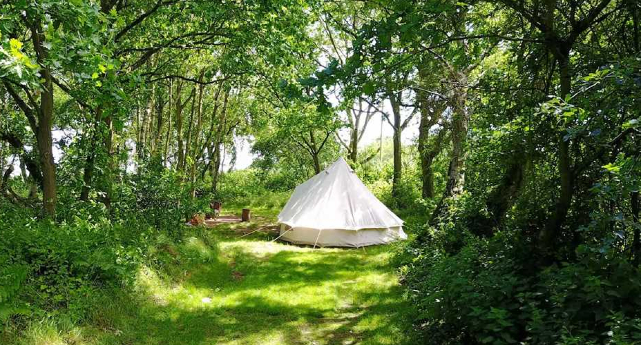 Dreamy Hollow Woodland Campsite And Ww1 Trenches