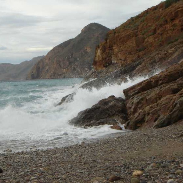 El Portus