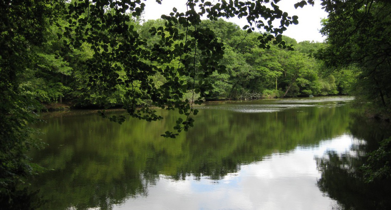 Koad Ar Roc'h in Frankreich - Spottocamp - Spottocamp