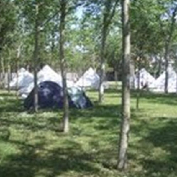Camping Viareggio
