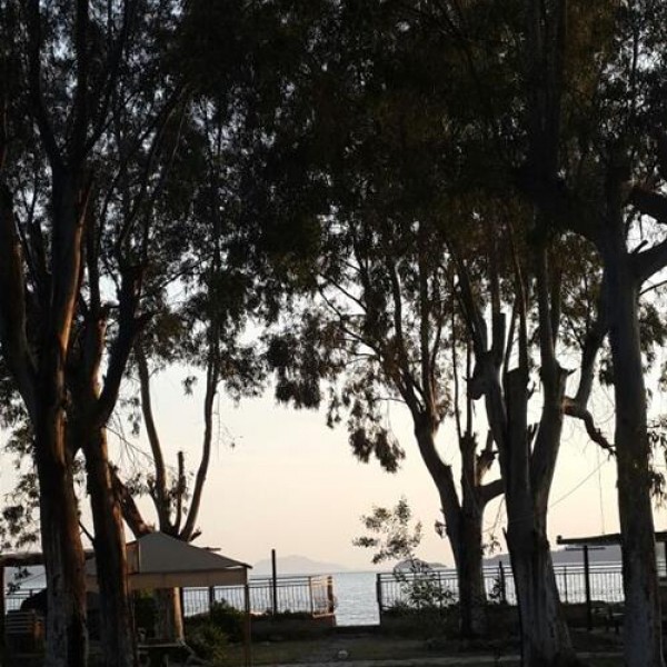 Camping Altinkum Mocamp