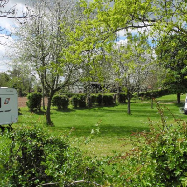 Vakantie Boerderij Bruisterbosch