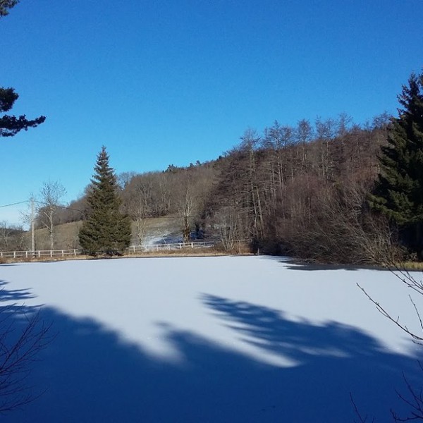 L'Etang de Flechat - Main photo