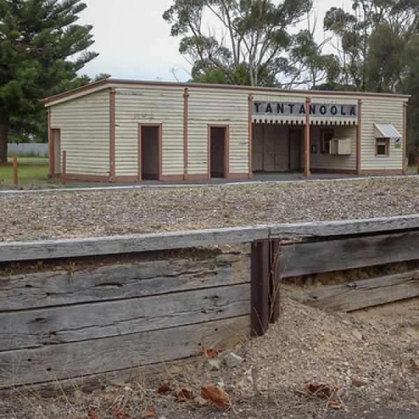 Tantanoola Campground