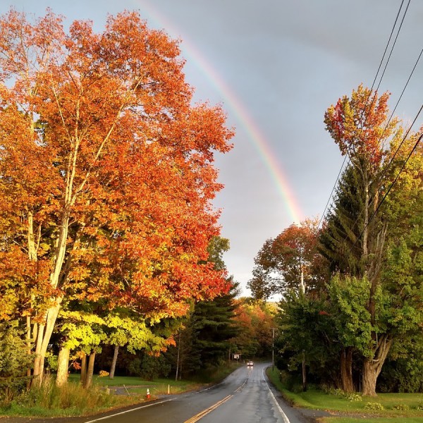 Alps Family Campground em New York, Estados Unidos Spottocamp