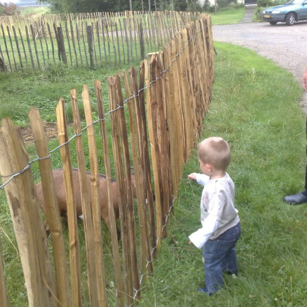 Boerderijcamping Perkpolder