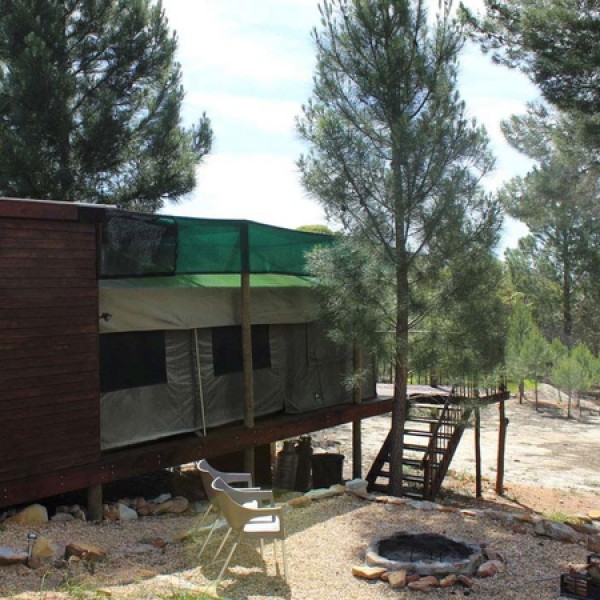 Otium Oasis Glamping
