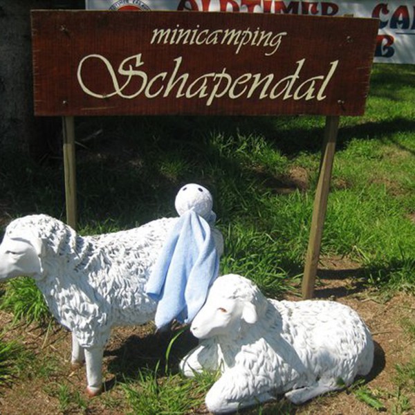 Minicamping Schapendal