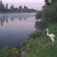 Mainblick