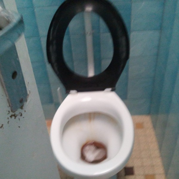 Ecutot