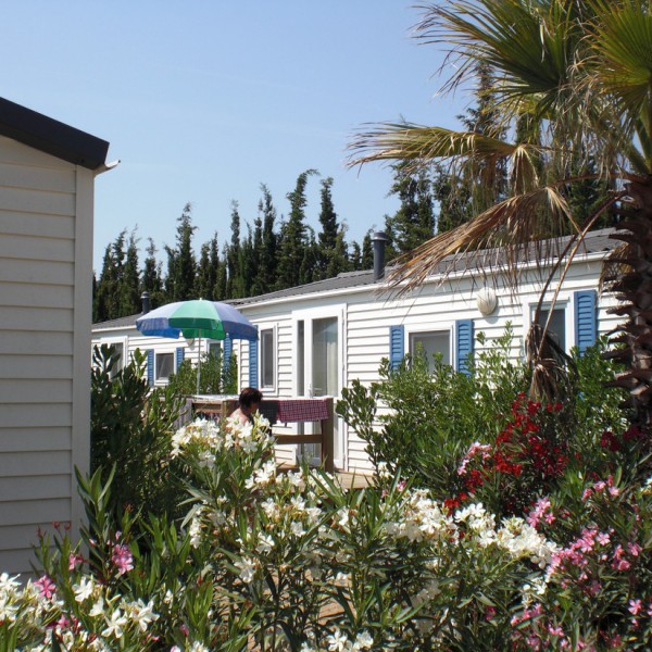 Tucan (Glamping)