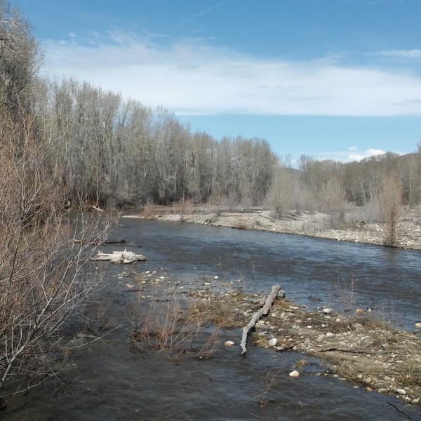 Riverside RV Park and Campground en Idaho, ÉtatsUnis Spottocamp