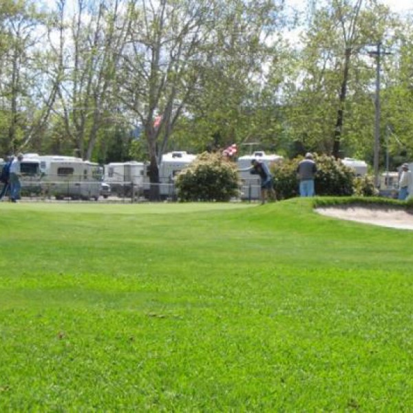 Calistoga RV Park at the Napa County Fairgrounds