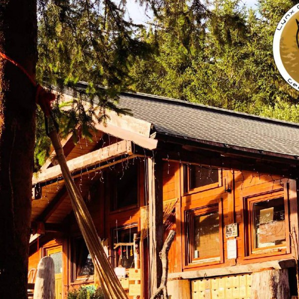 Lynx Camp i Baden-Württemberg, Tyskland
