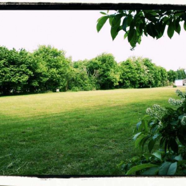 Holtingerveld